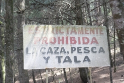 Iztaccihuatl - Popocatépetl národní park