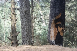 Iztaccihuatl - Popocatépetl národní park