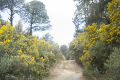 Iztaccihuatl - Popocatépetl národní park