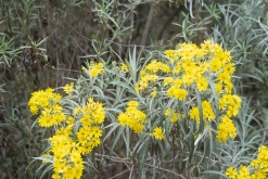 Iztaccihuatl - Popocatépetl národní park
