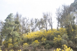 Iztaccihuatl - Popocatépetl národní park