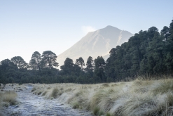 Iztaccihuatl - Popocatépetl národní park