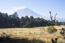 Iztaccihuatl - Popocatépetl národní park