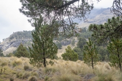 Iztaccihuatl - Popocatépetl národní park