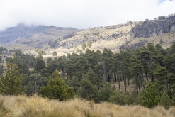 Iztaccihuatl - Popocatépetl národní park
