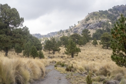 Iztaccihuatl - Popocatépetl národní park