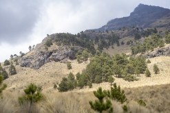 Iztaccihuatl - Popocatépetl národní park