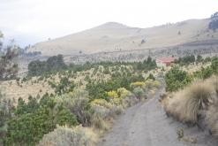 Iztaccihuatl - Popocatépetl národní park