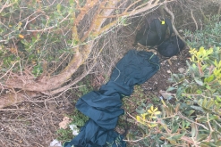 Palma de Mallorca - květen 2022