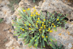 Palma de Mallorca - květen 2022