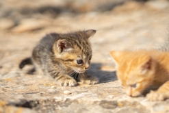 Palma de Mallorca - květen 2022