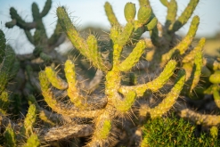 Palma de Mallorca - květen 2022