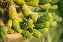 Palma de Mallorca - květen 2022