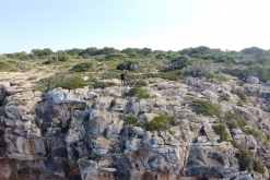 Palma de Mallorca - květen 2022