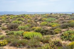 Palma de Mallorca - květen 2022