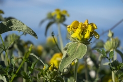 cesta z Shköder do Bar