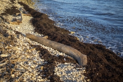 z Bari letiště: Giovinazzo