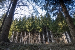 Cesta přes Rakousko do Itálie