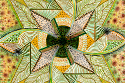 Lotosový květ / Popis: Mandala působí hypnoticky a ve středu vypadá jako rozřízlý plod kiwi. / mandala formátu čverce 42 cm / pastelkami