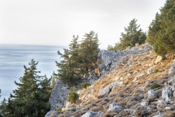 Kolymbia - Charaki / Rhodos