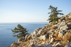 Kolymbia - Charaki / Rhodos