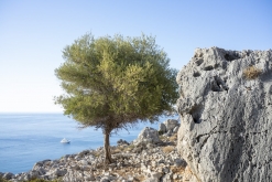 Kolymbia - Charaki / Rhodos