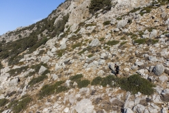 Kolymbia - Charaki / Rhodos