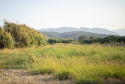 Theologos, Rhodos letiště