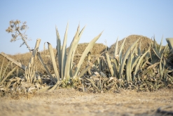 Theologos, Rhodos letiště