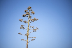 Theologos, Rhodos letiště