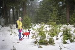 Klínovec - prosinec 2021