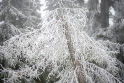 Klínovec - prosinec 2021