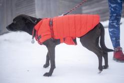 Klínovec - prosinec 2021