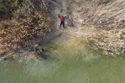 Pískovna Dobříň - duben 2021