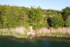 Pískovna Dobříň - červen 2021