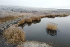 Jezero Milada - leden 2021