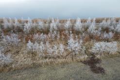 Jezero Milada - leden 2021