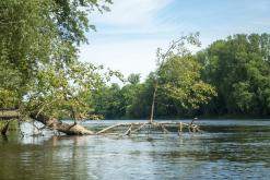 Žernosecké jezero - červen 2021
