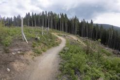 Klínovec - červen 2021