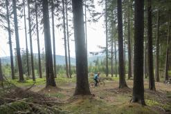 Klínovec - červen 2021