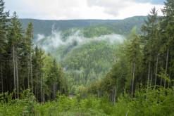 Klínovec - červen 2021