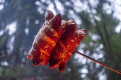 Tábořiště Hubertus - červen 2021