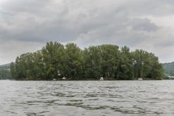 Žernosecké jezero - červenec 2021