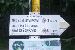 Králický Sněžník - červenec 2021