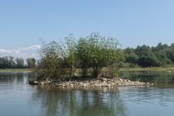 Pískovna Dobříň - srpen 2021