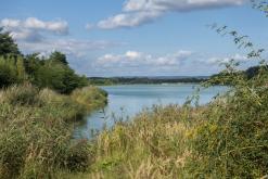 Pískovna Dobříň - září 2021