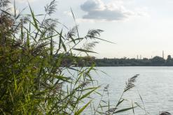 Pískovna Dobříň - září 2021