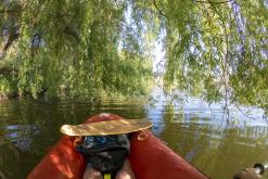 Žernosecké jezero - červen 2021