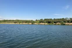 Pískovna Dobříň - červen 2021