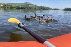 Žernosecké jezero - červen 2021